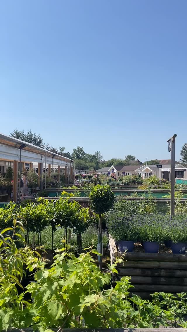 Trowbridge Garden Centre