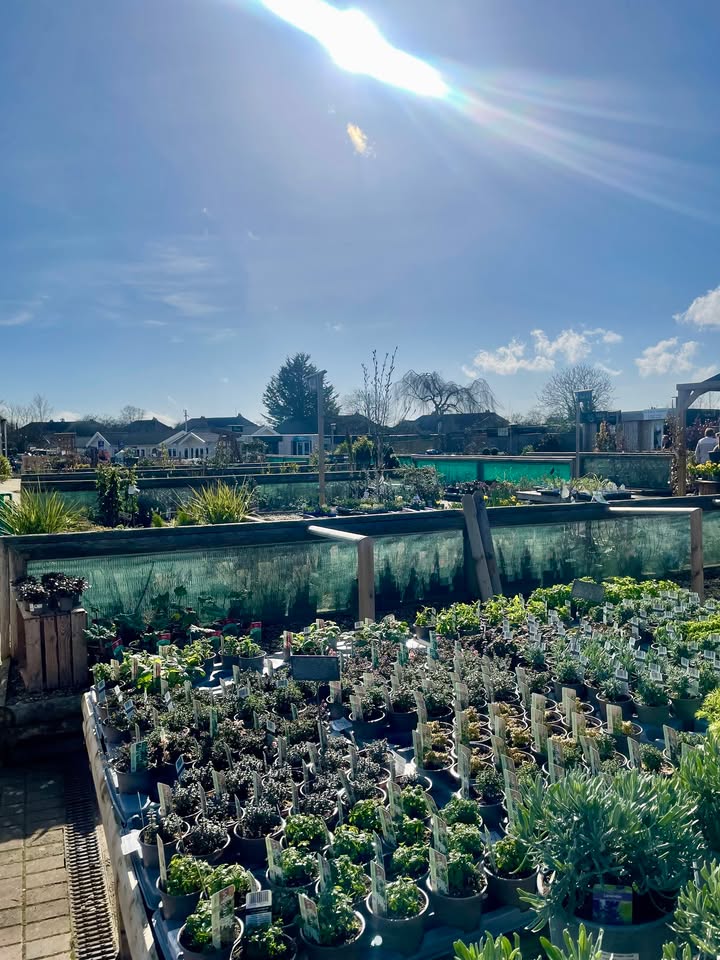 Trowbridge Garden Centre