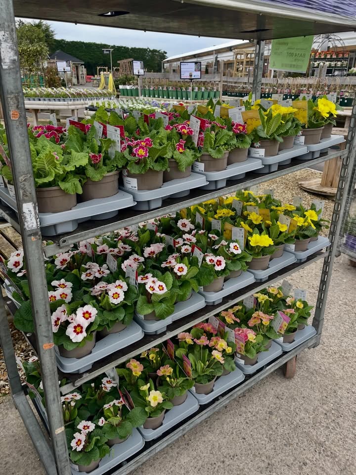 Trowbridge Garden Centre