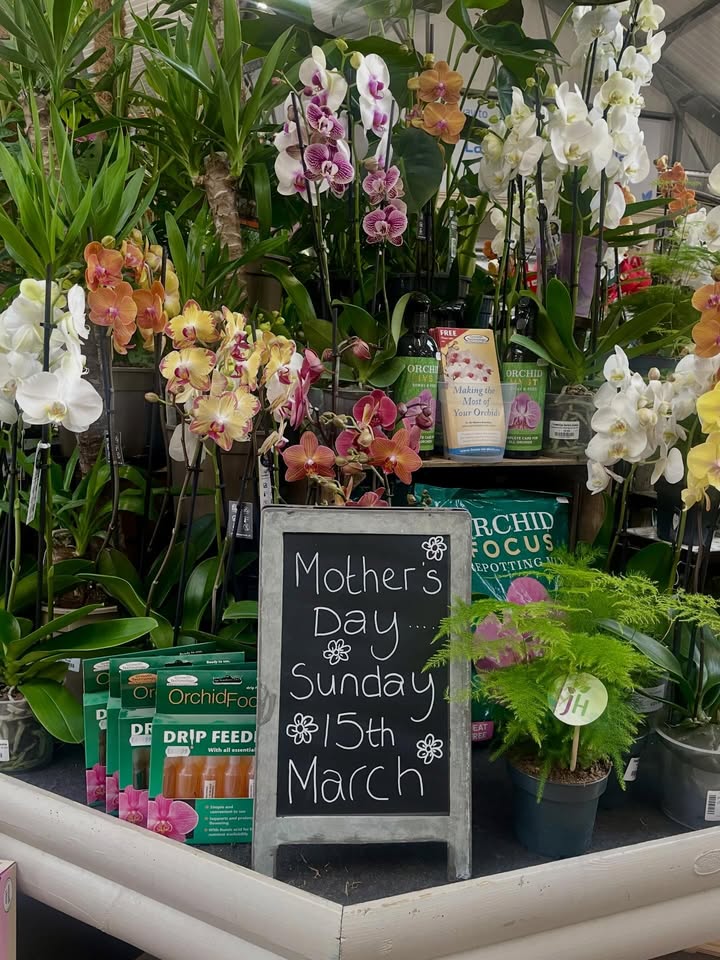 Trowbridge Garden Centre