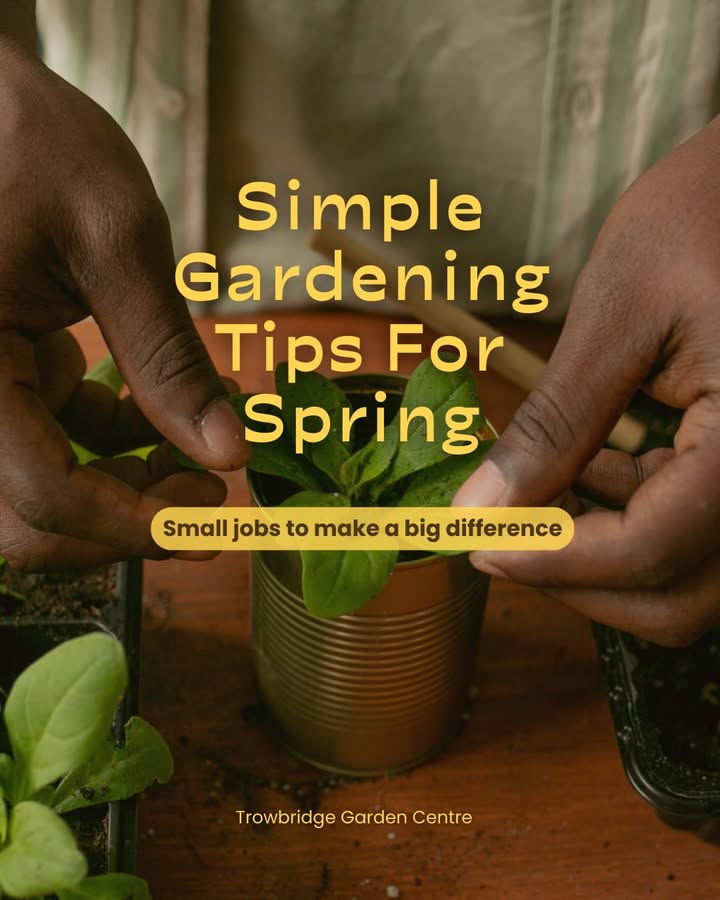 Trowbridge Garden Centre